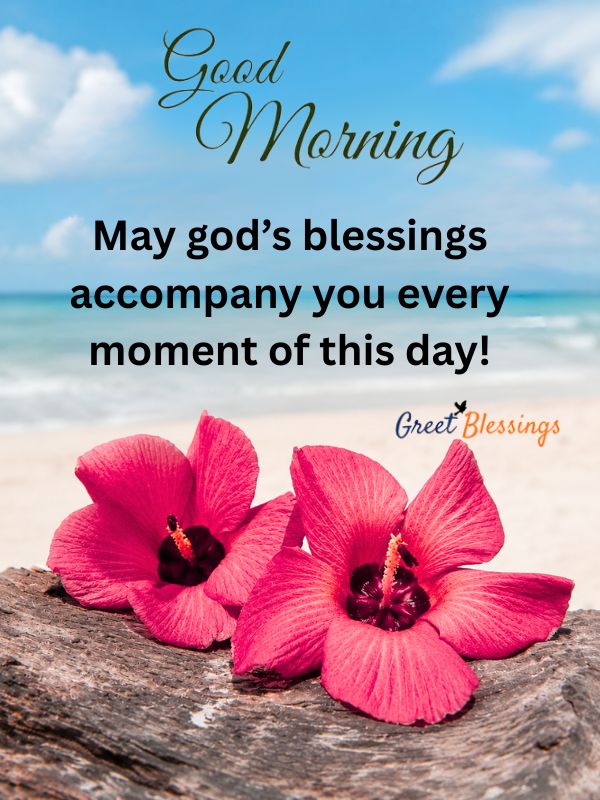 Tuesday good morning blessings and wishes image with pink flowers, peaceful beach background, and inspirational blessing quote for a happy Tuesday.