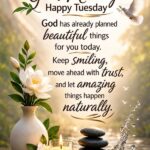 Cute good morning Tuesday blessings image with flowers, dove, candle, peaceful quote, and inspirational morning message