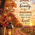 Short fall saying on a beautiful autumn sunset with colorful leaves, a lantern, and country road.